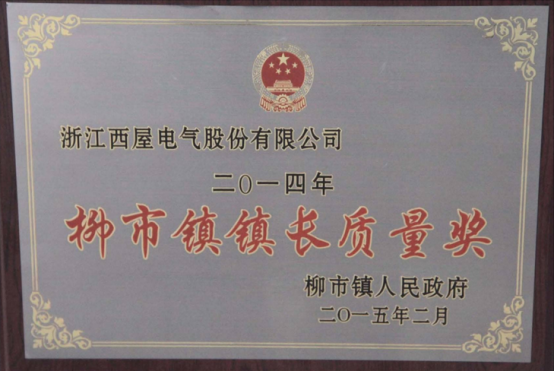 柳市镇镇长质量奖
