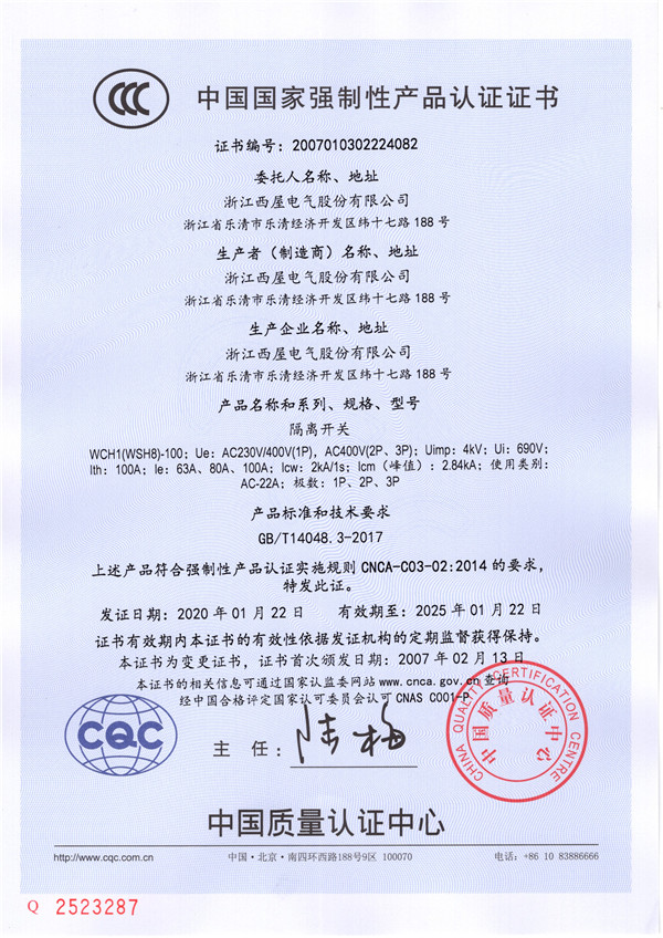 WCH1(WSH8)-100(图1)